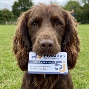 Plastic Membership Card