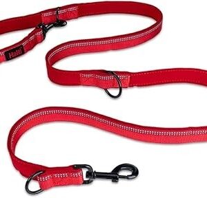 Halti Double Ended Lead Red
