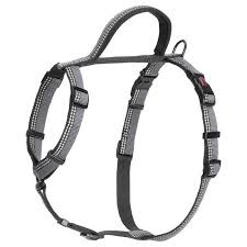 Halti Walking Harness Black