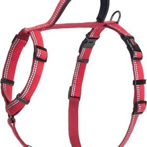 Halti Walking Harness Red