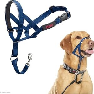 Halti Headcollar Cobalt Blue