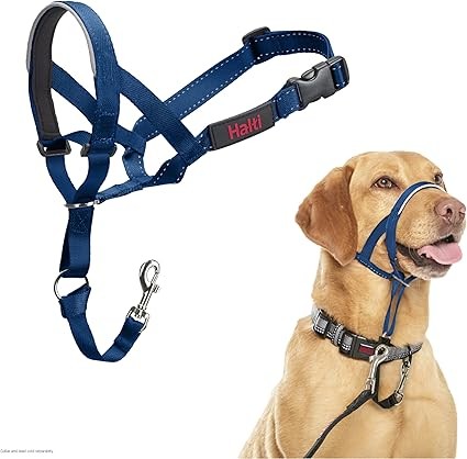 Halti Headcollar Cobalt Blue
