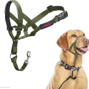 Halti Headcollar Forest Green