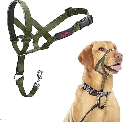 Halti Headcollar Forest Green