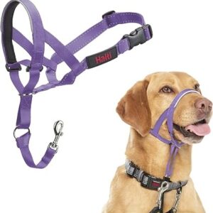 Halti Headcollar Purple