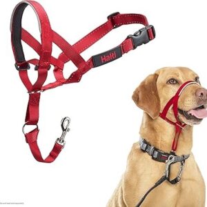 Halti Headcollar Red