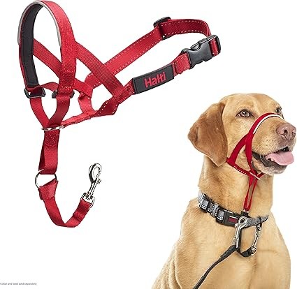 Halti Headcollar Red
