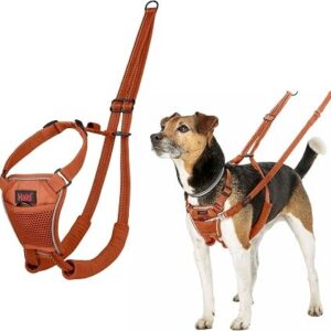 Halti No Pull Harness Burnt Orange