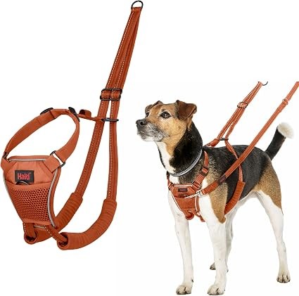 Halti No Pull Harness Burnt Orange