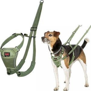 Halti No Pull Harness Forest Green