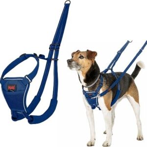 Halti No Pull Harness Cobalt Blue
