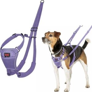 Halti No Pull Harness Purple
