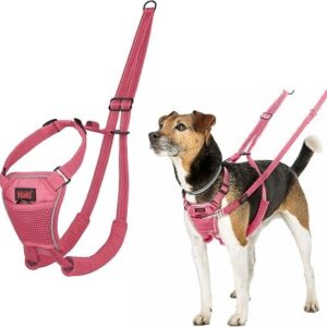 Halti No Pull Harness Pink