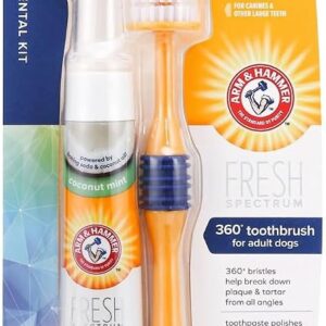 Arm & Hammer Fresh Coconut Dental Kit Dogs