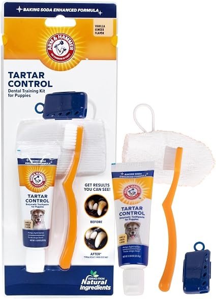 Arm & Hammer Fresh Coconut Dental Kit Puppy