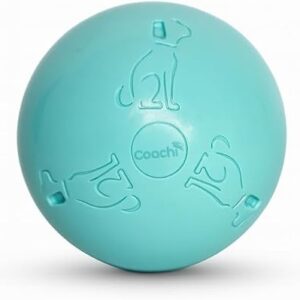 Coachi Puppy & Mini Boomi Ball 4"/10cm Cool Mint