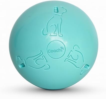 Coachi Puppy & Mini Boomi Ball 4"/10cm Cool Mint