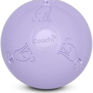 Coachi Puppy & Mini Boomi Ball 6"/15cm Ice Purple