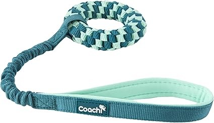 Coachi Puppy & Mini Tuggi Helix Teal & Mint