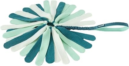 Coachi Puppy & Mini Tuggi Spider Teal & Mint
