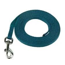 Coachi Puppy & Mini Waterproof Line Teal & Mint