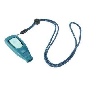 Coachi Puppy & Mini Whizzclick Teal & Mint