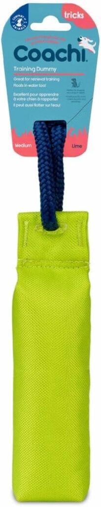 Coachi Training Dummy