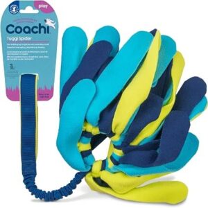 Coachi Tuggi Spider Navy, Lime & Light Blue