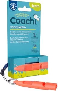 Coachi Training Whistle Coral