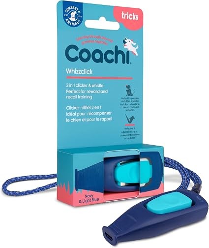 Coachi Whizzclick Navy, Light Blue Button