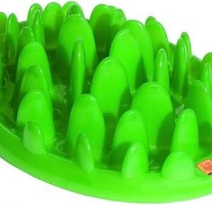 Green Mini Slow Dog Feeder