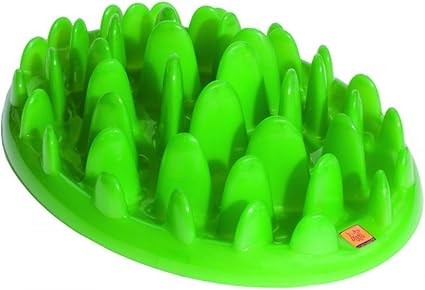 Green Mini Slow Dog Feeder