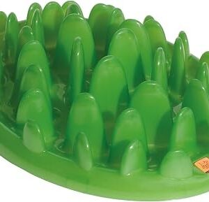 Green Slow Dog Feeder