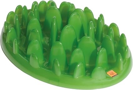 Green Slow Dog Feeder
