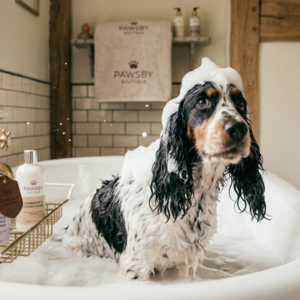 Grooming & Wellbeing