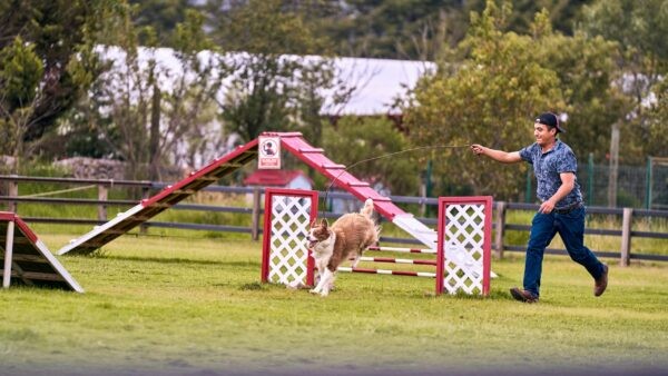 Agility Class