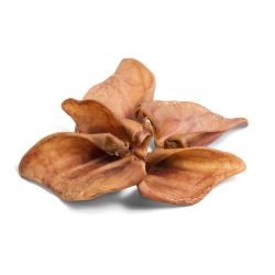 PF PIG EARS LGE - Club Box